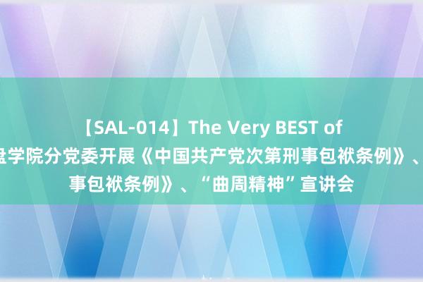 【SAL-014】The Very BEST of ゆか 信电学院、地盘学院分党委开展《中国共产党次第刑事包袱条例》、“曲周精神”宣讲会