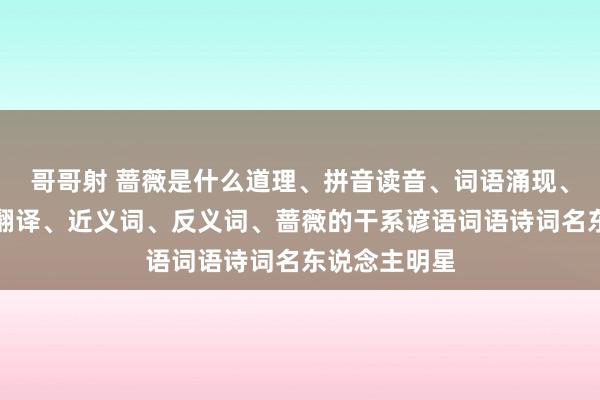 哥哥射 蔷薇是什么道理、拼音读音、词语涌现、蔷薇的英文翻译、近义词、反义词、蔷薇的干系谚语词语诗词名东说念主明星