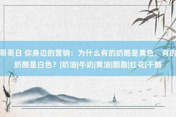 哥哥日 你身边的营销：为什么有的奶酪是黄色，有的奶酪是白色？|奶油|牛奶|黄油|胭脂|红花|干酪