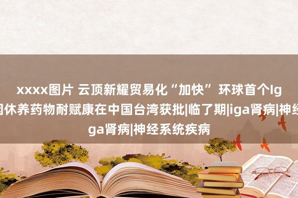 xxxx图片 云顶新耀贸易化“加快” 环球首个IgA肾病对因休养药物耐赋康在中国台湾获批|临了期|iga肾病|神经系统疾病