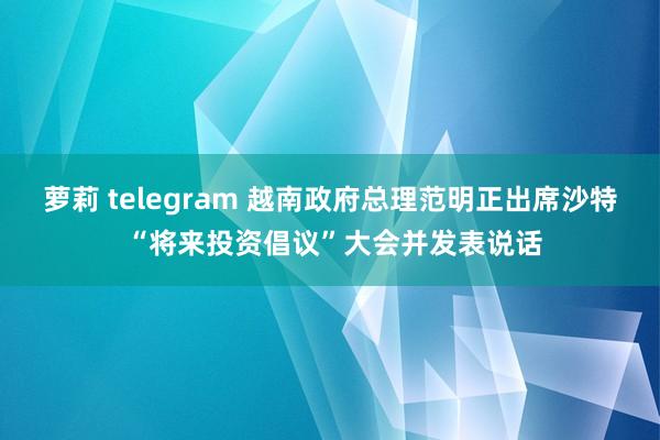 萝莉 telegram 越南政府总理范明正出席沙特 “将来投资倡议”大会并发表说话